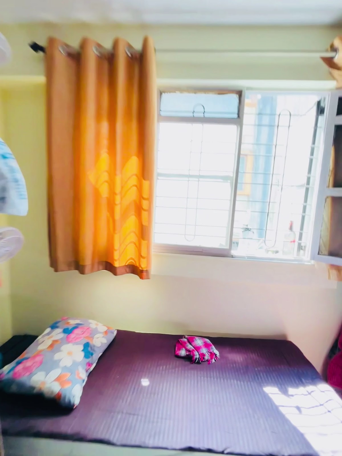 Window Bed Nook with Sunlight & Curtains